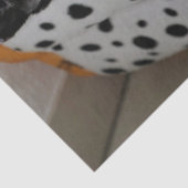 slapende-kattentissuepapier tissuepapier (Detail)