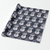 Slapende kitten in een tule hangmat cadeaupapier (Uitgerold)