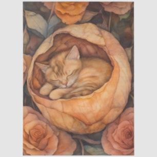 Slapende Kitten in Roos Waterverf Bloem Tissuepapier