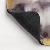 Slapende Kittens Muismat (Hoek)