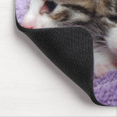 Slapende kittens muismat (Hoek)