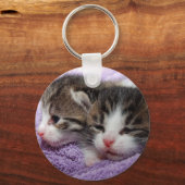 Slapende kittens sleutelhanger (Voorkant)