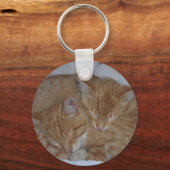 Slapende kittens sleutelhanger (Voorkant)