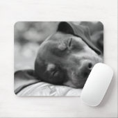Slapende miniatuur Pinscher-hond Muismat (Met muis)