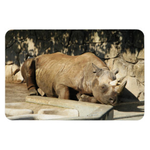 Slapende Neushoorn Magneet