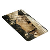 Slapende Neushoorn Magneet (Rechterzijde)