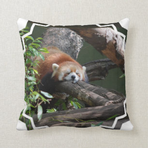 Slapende Rode Panda Kussen