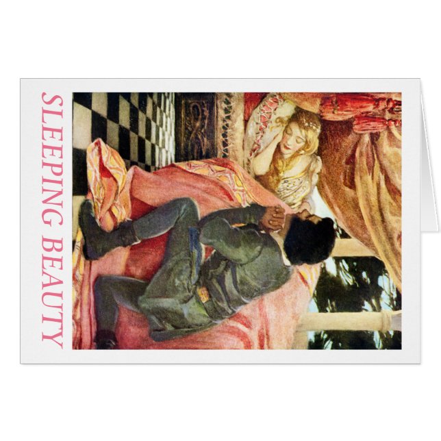 Slapende schoonheid (Voorkant Horizontaal)