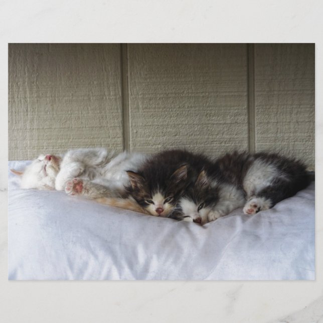 Slapende schoonheid (Voorkant)