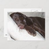 Slapende schoonheid briefkaart (Voorkant / Achterkant)