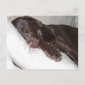 Slapende schoonheid briefkaart (Voorkant)