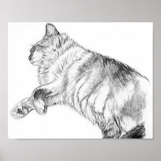 Slapende schoonheid poster