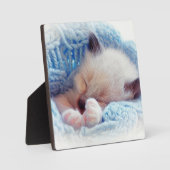 Slapende Siamese Kitten Paws Fotoplaat (Voorkant)