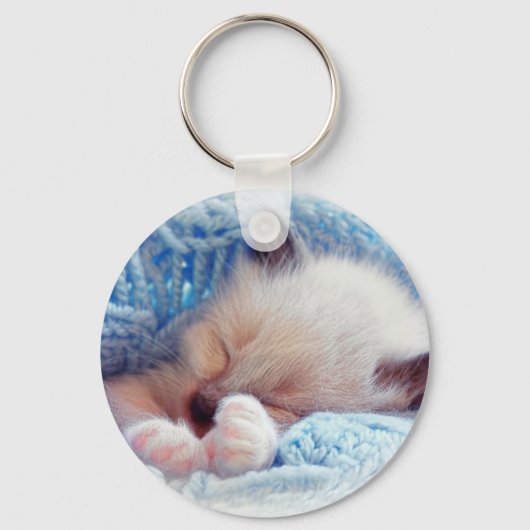 Slapende Siamese Kitten Paws Sleutelhanger (Voorkant)