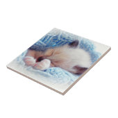 Slapende Siamese Kitten Paws Tegeltje (Zijkant)