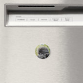 Slapende Stekelvarken Magneet (Insitu (Vaatwasser))