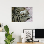 Slapende Tijgerkat Poster (Thuiskantoor)