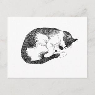 Slapende Tuxedo Kat Zwart-Wit Tekening Briefkaart