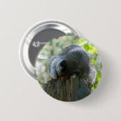 slapende wasbeer pin ronde button 5,7 cm (Voorkant /achterkant)