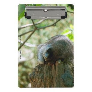 Slapende Wasbeer Stickers Mini Klembord