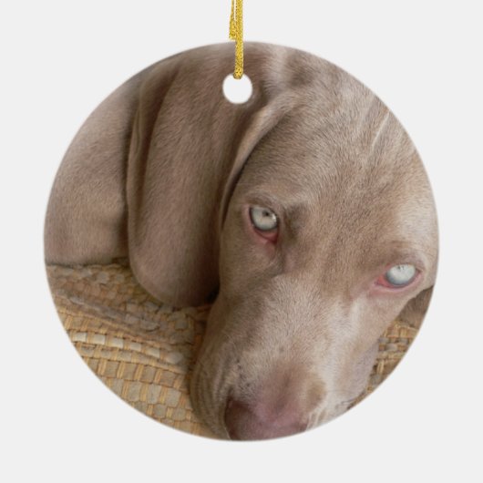 Slapende Weimeraner Dog Ornament (Achterkant)