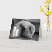 Slaperig jongwenskaart kaart (Gele Bloem)