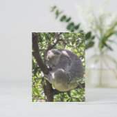 slaperig koala briefkaart (Staand voorkant)