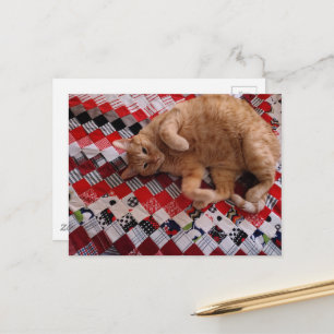 Slaperige gemberkat op een rode quilt briefkaart