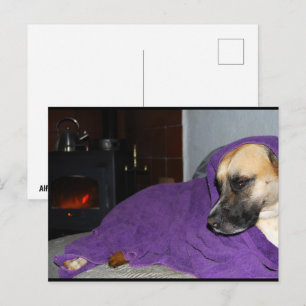 Slaperige Hond bij Open Haard Briefkaart