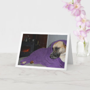 Slaperige Hond bij Open Haard Kaart