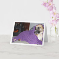 Slaperige Hond bij Open Haard