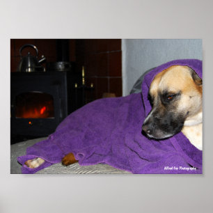 Slaperige Hond bij Open Haard Poster