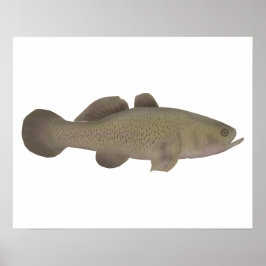 slaperige kabeljauw poster