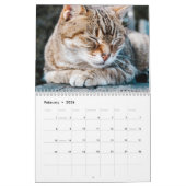 Slaperige kat-fotokalender kalender (Feb 2026)