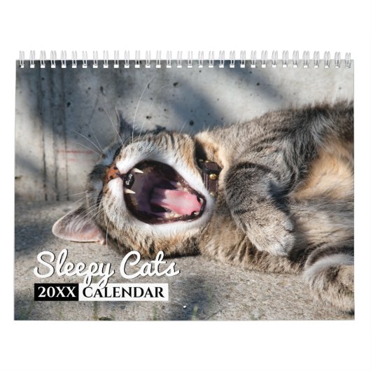 Slaperige kat-fotokalender kalender (Hoes)