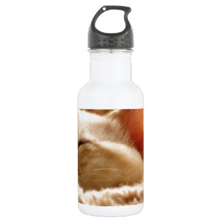 Slaperige Kat Waterfles