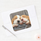 Slaperige Puppies Vierkante Sticker (Envelop)