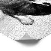 slaperige Rottweiler-puppy's Poster (Hoek)