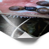 Slaperige slakken foto afdruk (Hoek)