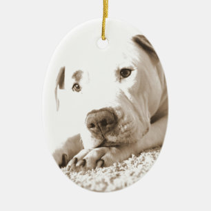 slaperige vriendelijke witte pitbull haat daad nie keramisch ornament