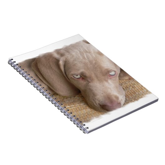 Slaperige weimarantielaptop notitieboek (Rechterzijde)