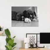 Slaperij puppies dovasafdruk poster (Thuiskantoor)