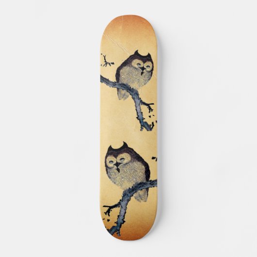 Slaperij Skateboard (Voorkant)