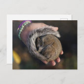 Slapertje Briefkaart (Voorkant / Achterkant)