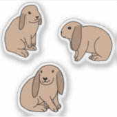 Slappe oorkonijnen sticker (Voorkant)