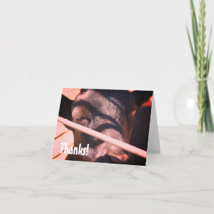 Slapy Bull Boerderij Animal Natuur Dank u wel Bedankkaart