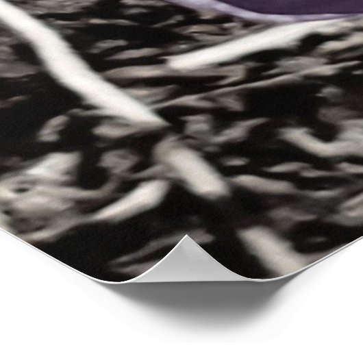 slapy Crocus Poster (Hoek)