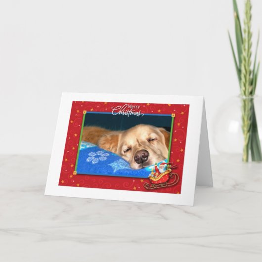 Slapy Golden Retriever Holiday Greeting Kaart (Voorkant)