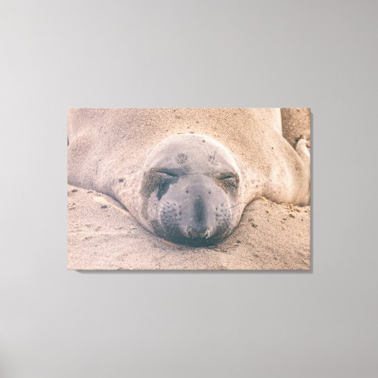 Slapzegel Canvas Afdruk (Voorkant)