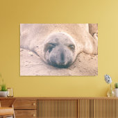 Slapzegel Canvas Afdruk (Insitu (Woonkamer))